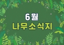 26년 6월 나무소식지